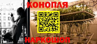 спайс Тара
