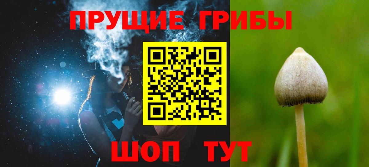 Галлюциногенные грибы Cubensis Десногорск